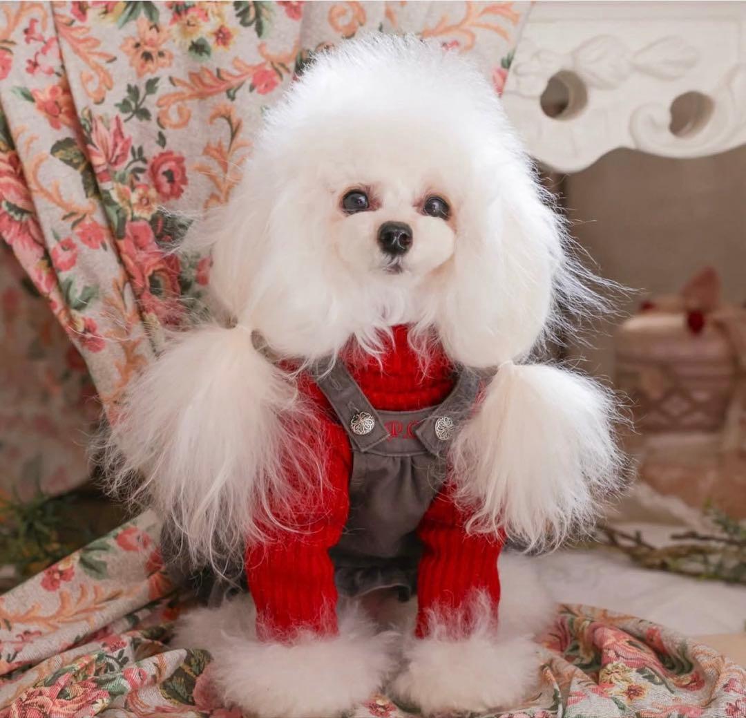 PP* closet PPクローゼット ジャンパースカート 37