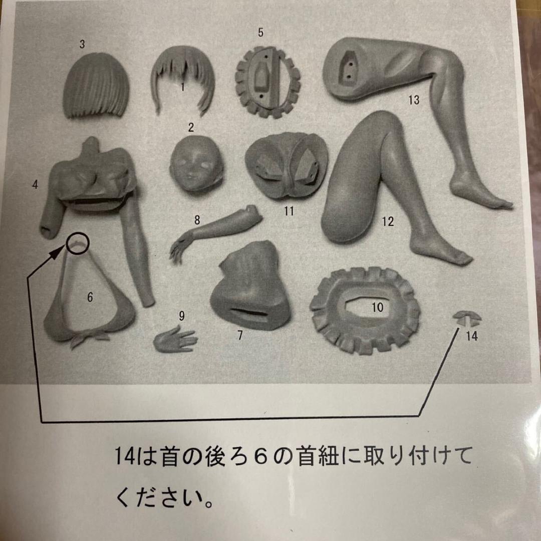 GRIDMAN 新条アカネ ガレージキット グラビアンスキー グリッドマン