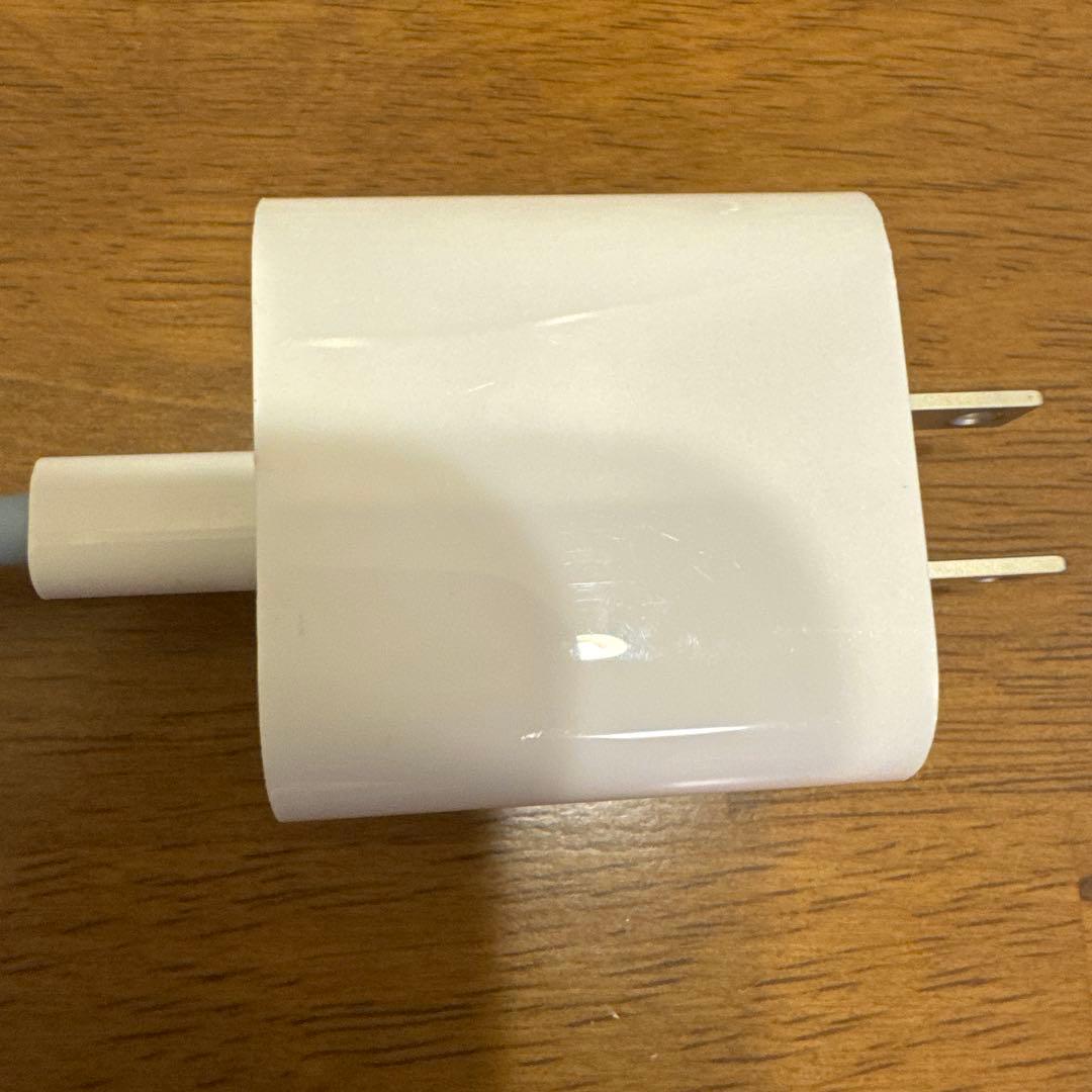 Apple Pod mini ネイビー 本体とACアダプタ