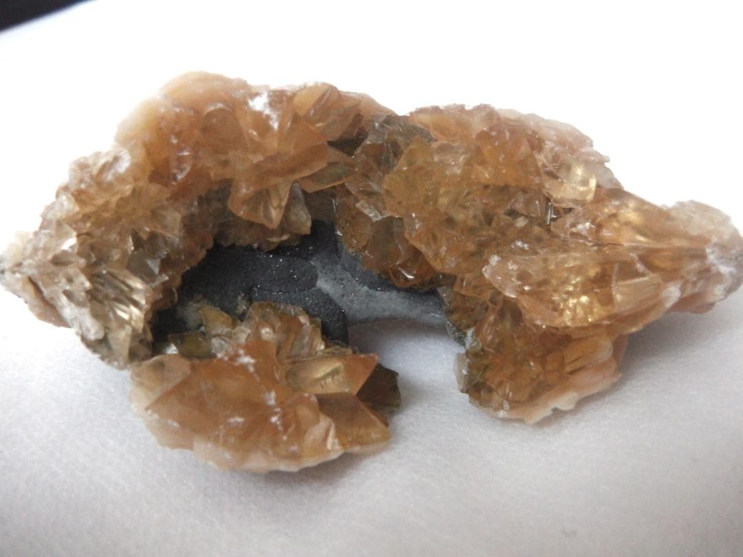 m盆・・・さま専用：方解石化した二枚貝の化石 カルサイト 鉱物標本 蛍光鉱物