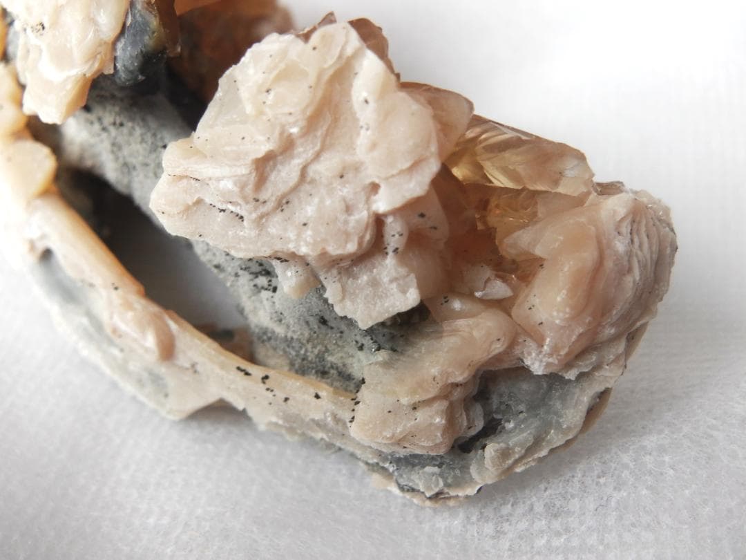 m盆・・・さま専用：方解石化した二枚貝の化石 カルサイト 鉱物標本 蛍光鉱物