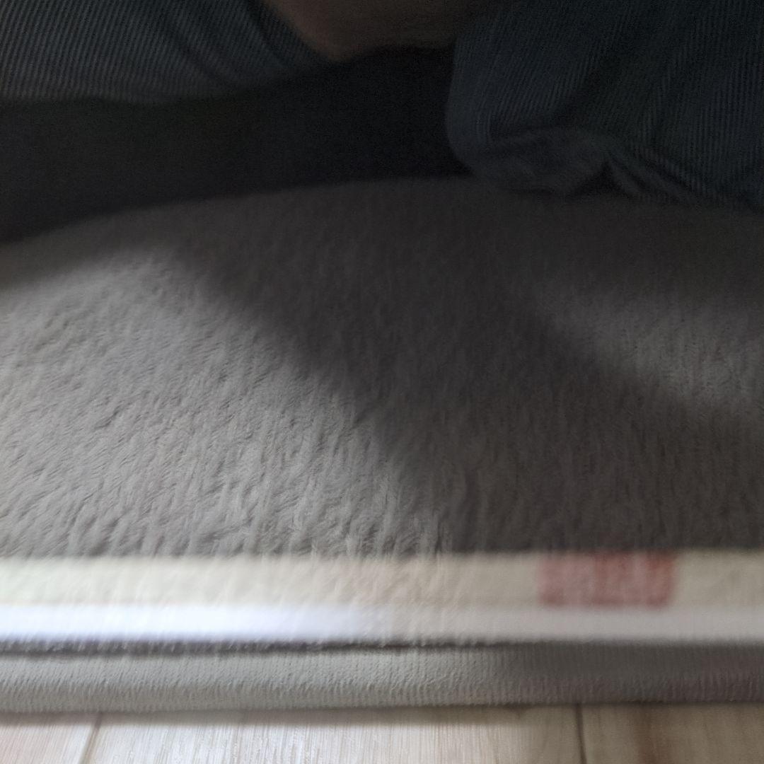 西田忠重 猫のリトグラフ 39/100 サイン入り