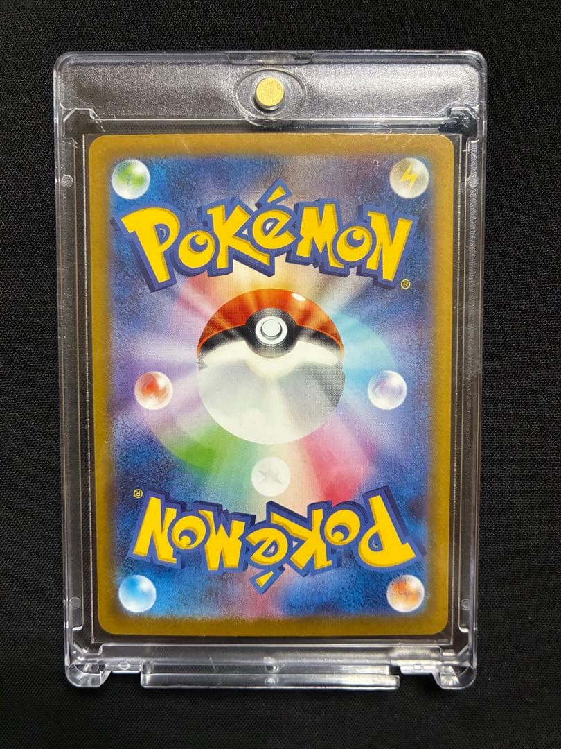 テラスタルフェス　ブラッキーex SAR