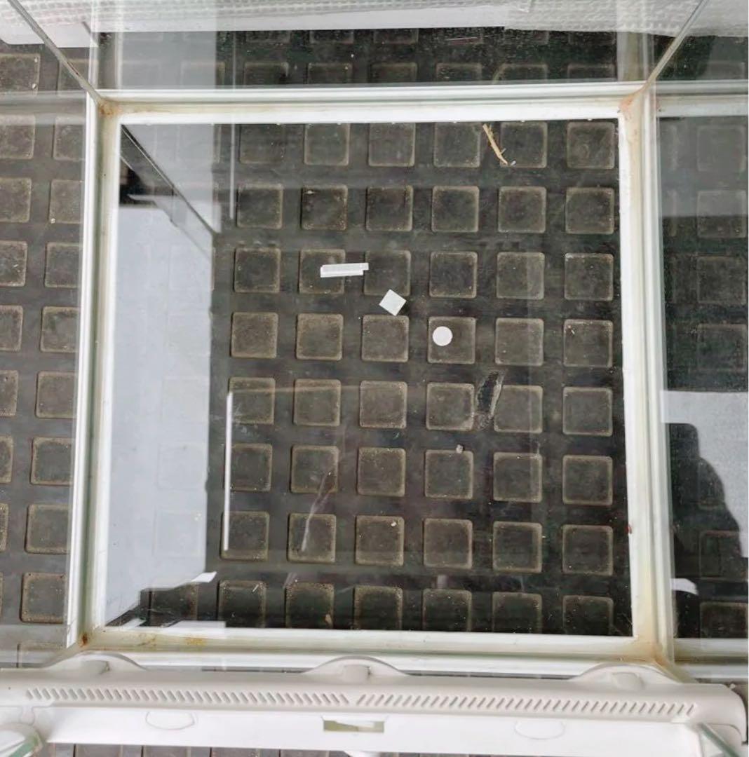 GEX グラステラリウム3030限定カラーホワイト