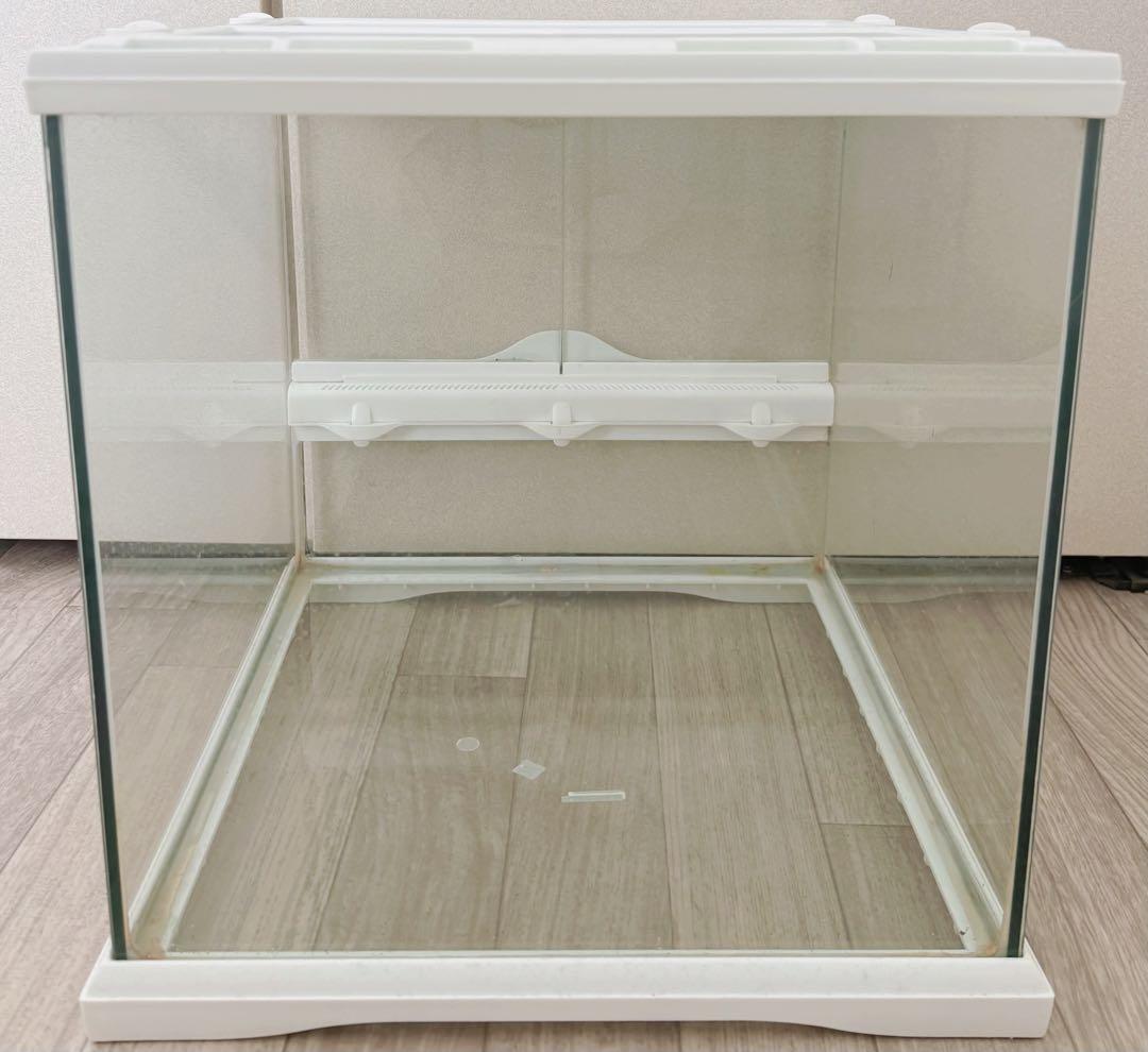 GEX グラステラリウム3030限定カラーホワイト