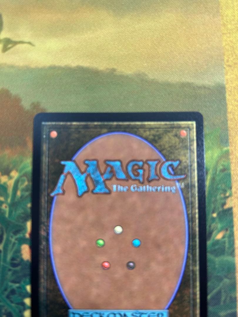 MTG リノア・ハーティリー　拡張foil 英語