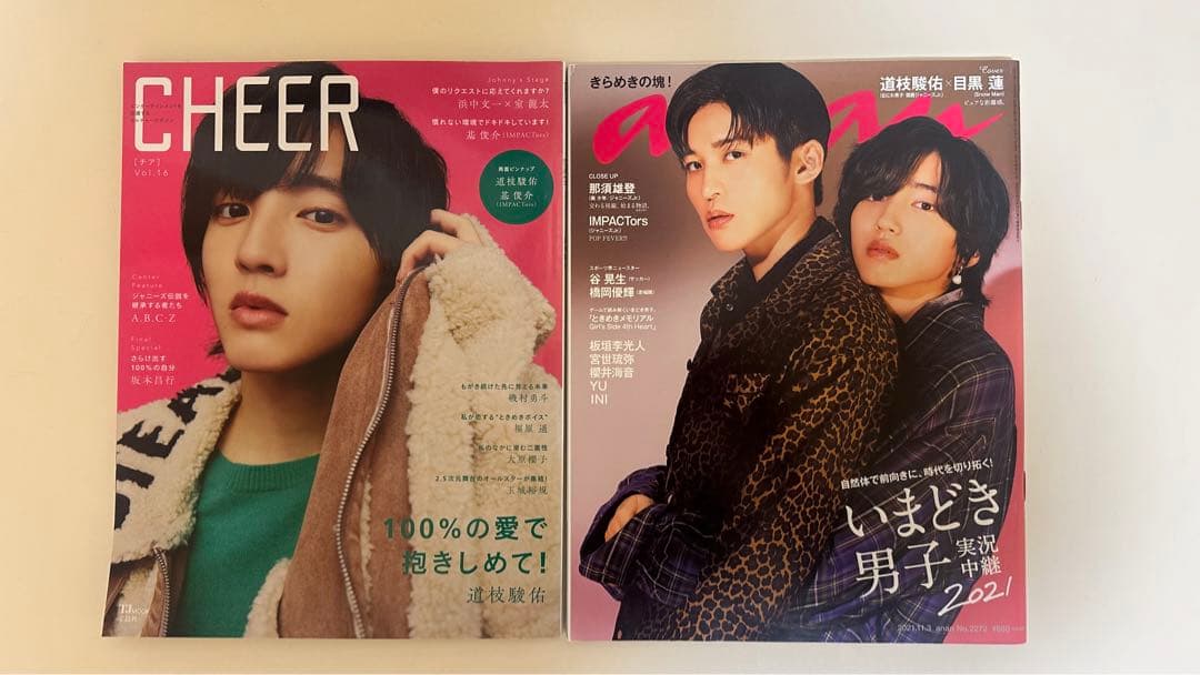 道枝駿佑まとめ売り(おまけ付き)