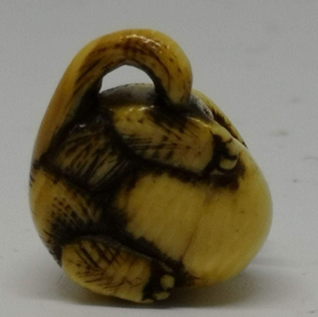 江戸時代 「たぬき 狸 」小さい 根付 織締？