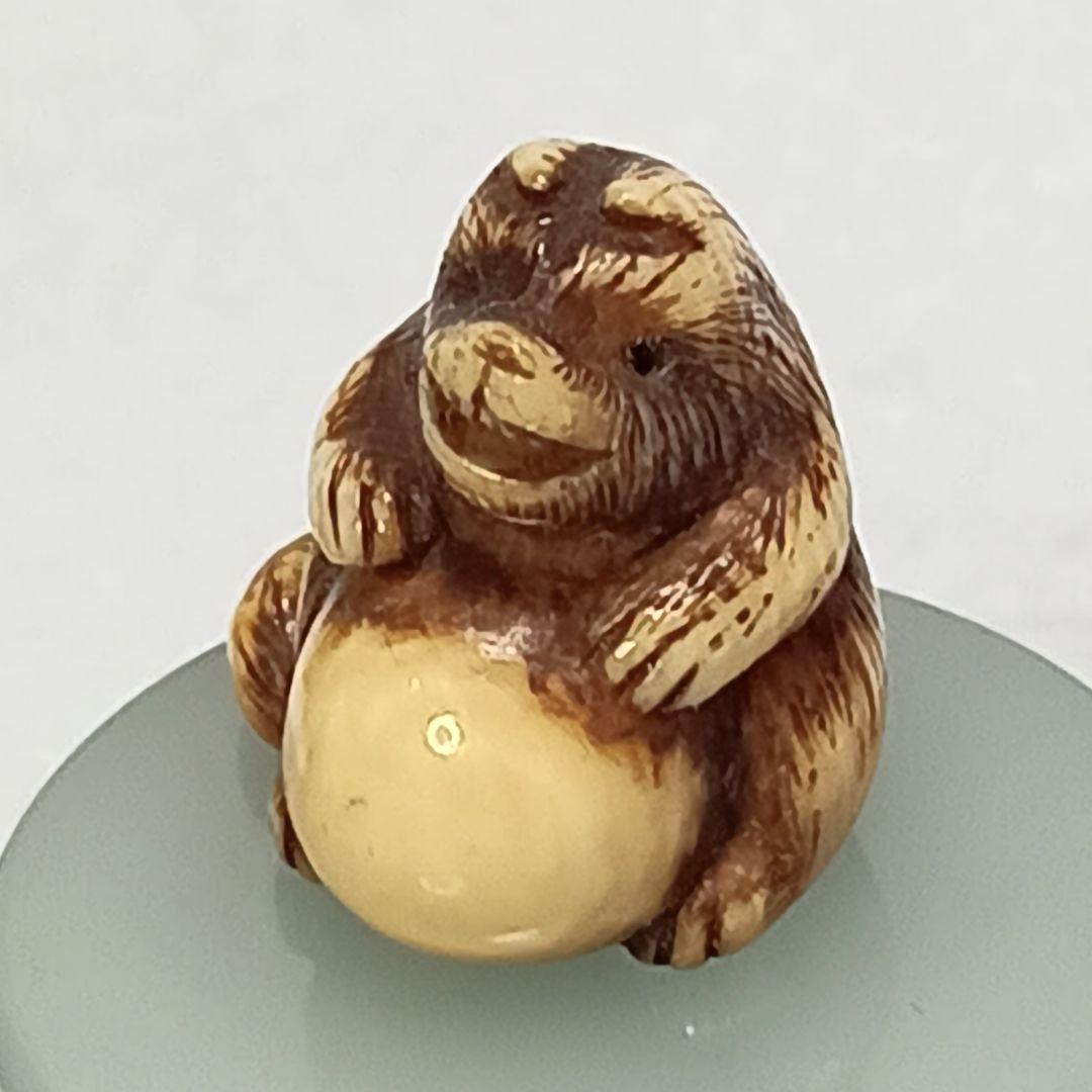 江戸時代 「たぬき 狸 」小さい 根付 織締？