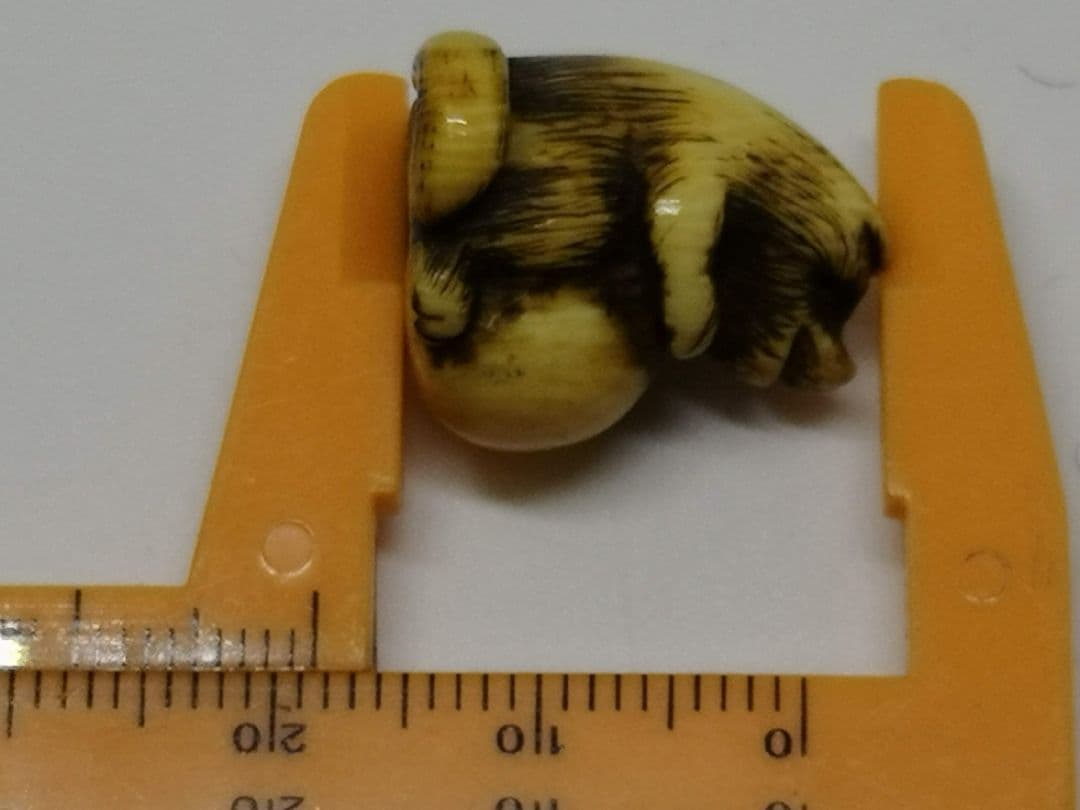 江戸時代 「たぬき 狸 」小さい 根付 織締？