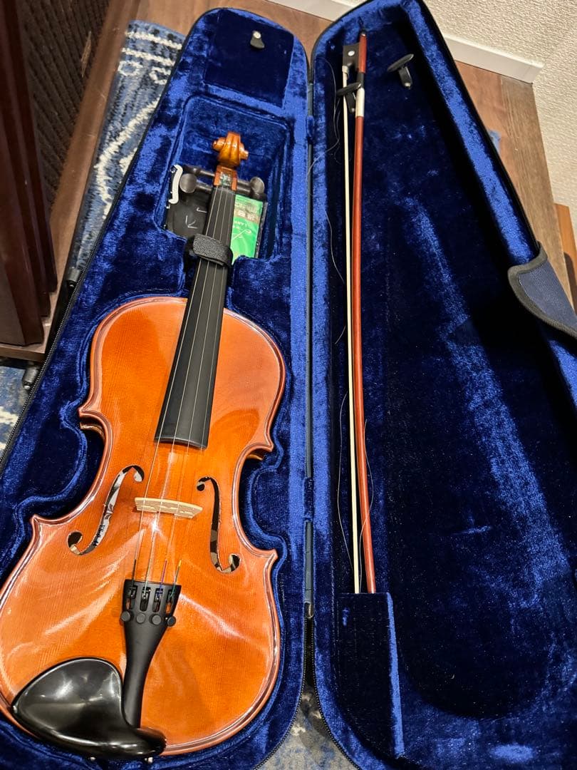 Carlo giordano バイオリン VS-0-44 4/4 フルサイズ