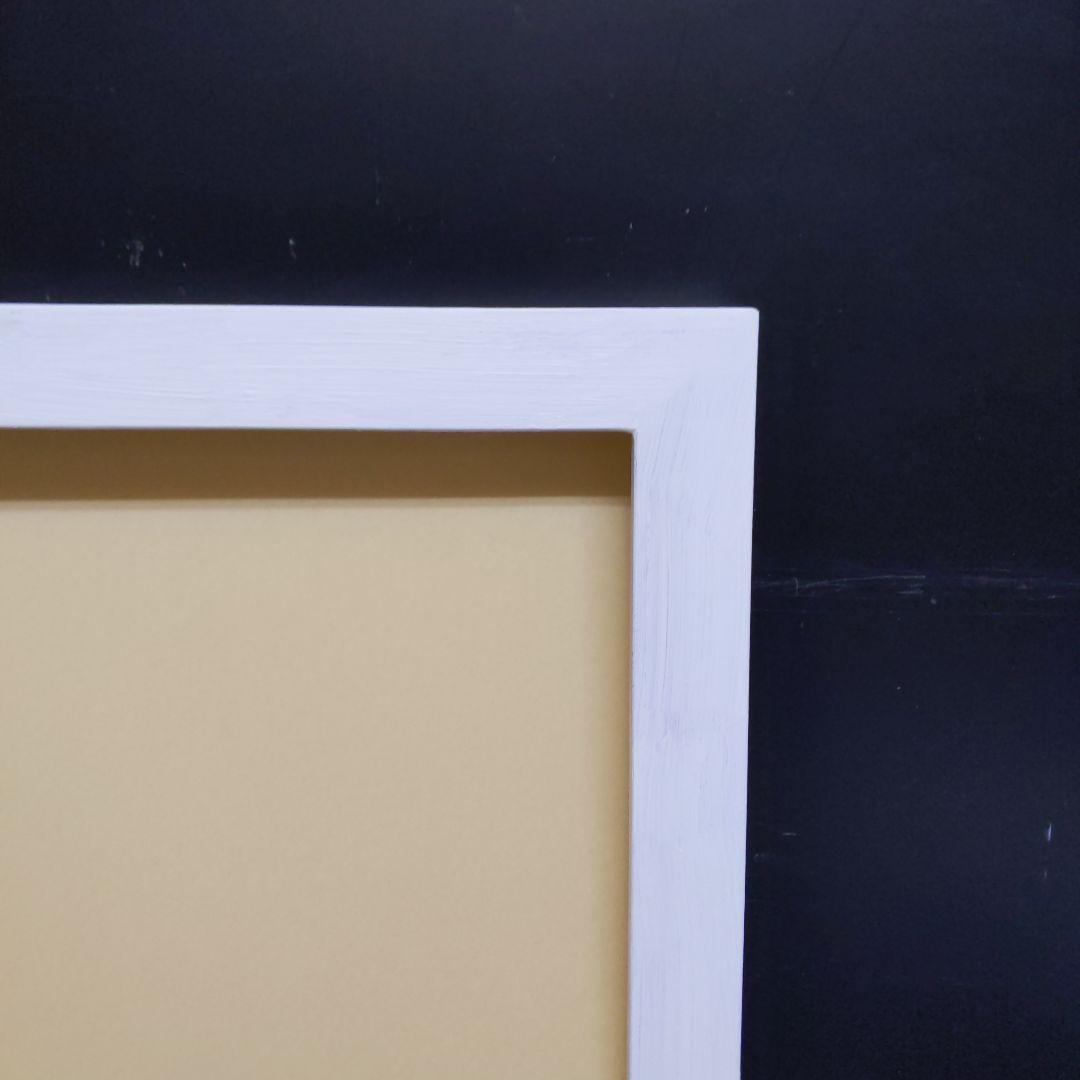 Ｎoston　　AG110 F6 油絵用額縁　キャンバス用額縁