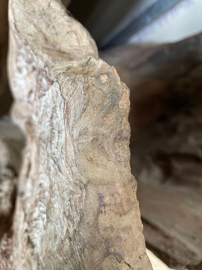 特価！！屋久杉　アンティーク　骨董品　希少柄