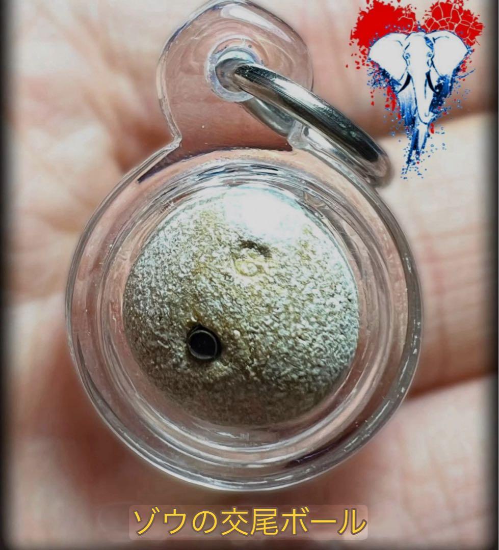 【レア 】象の交尾ボール　強い力愛心魅力 プラクルアン