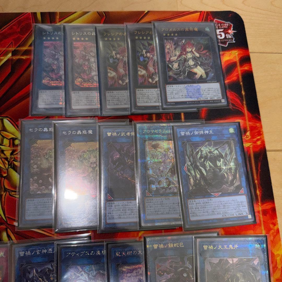 遊戯王引退品 構築済み蕾禍蟲惑魔デッキ スリーブ付き エクストラ付き