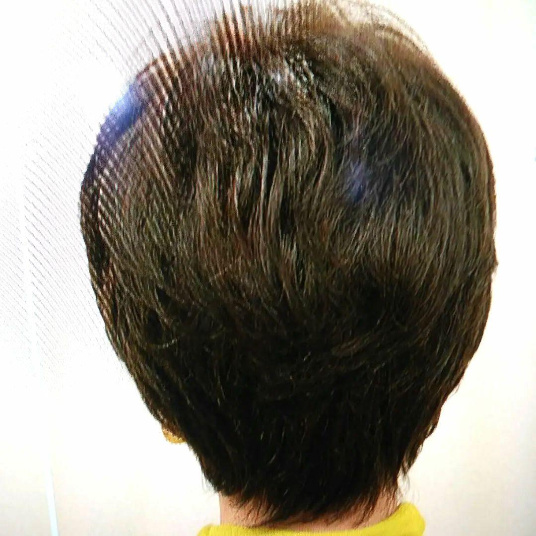 フォンテーヌ 手ぐしで簡単スタイリング高品質ウィッグショート