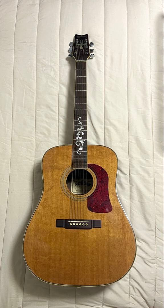 Washburn D95LTD 1995年 限定モデル アコースティックギター