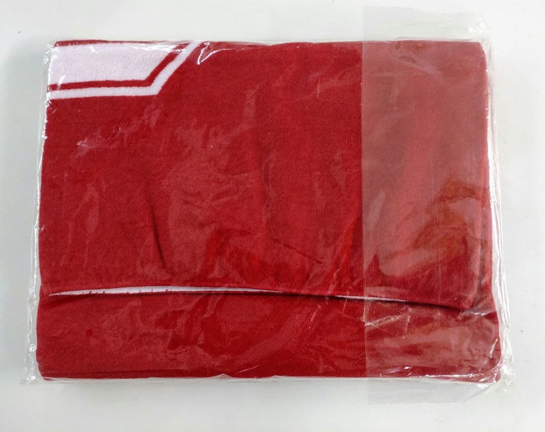 【新品未使用】矢沢永吉★スペシャルビーチタオル5枚セット