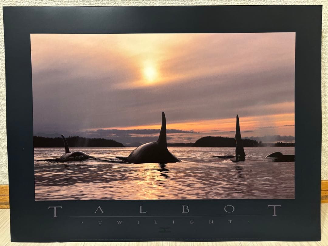 Bob Talbot 80s vintage poster 12種セット