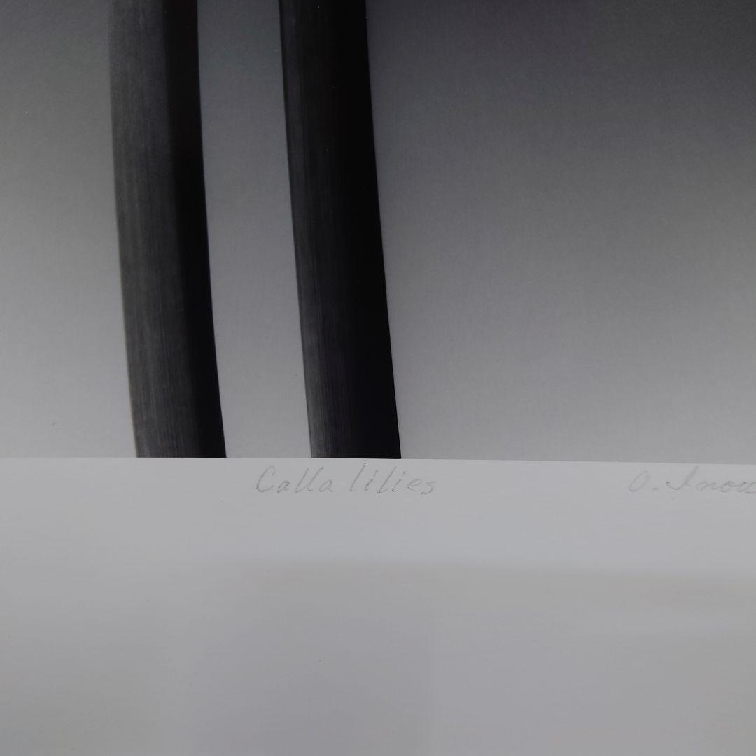 銀塩プリント・世界に一枚のみ　井上治（Osamu Inoue）フォトアート作品