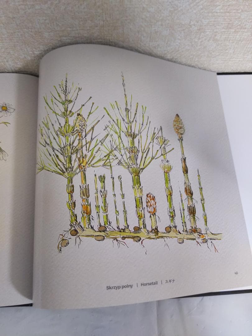 趣味・スポーツ・実用 Polska na Expo 2025 | Osaka | Kansai