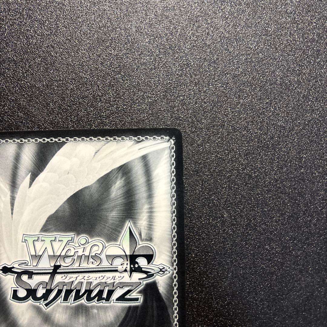 ペルソナ5 SP 神出鬼没 モルガナ/MONA モルガナ＆ゾロ/MONA SP