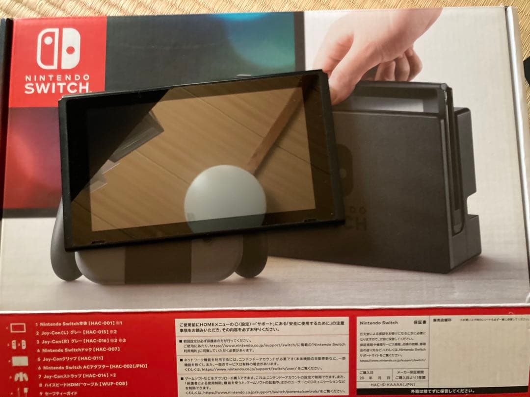 Nintendo Switch Joy-Conなし