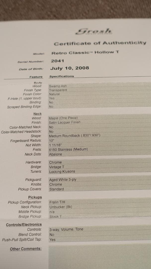 Don Grosh Retro Classic Hollow T テレキャス