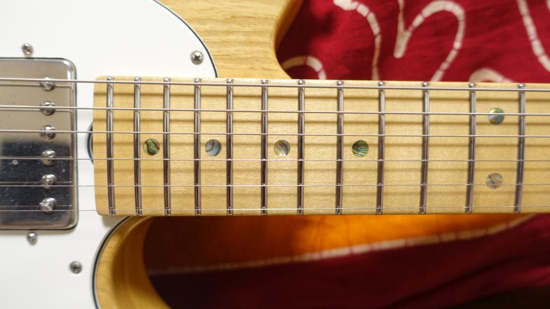 Don Grosh Retro Classic Hollow T テレキャス