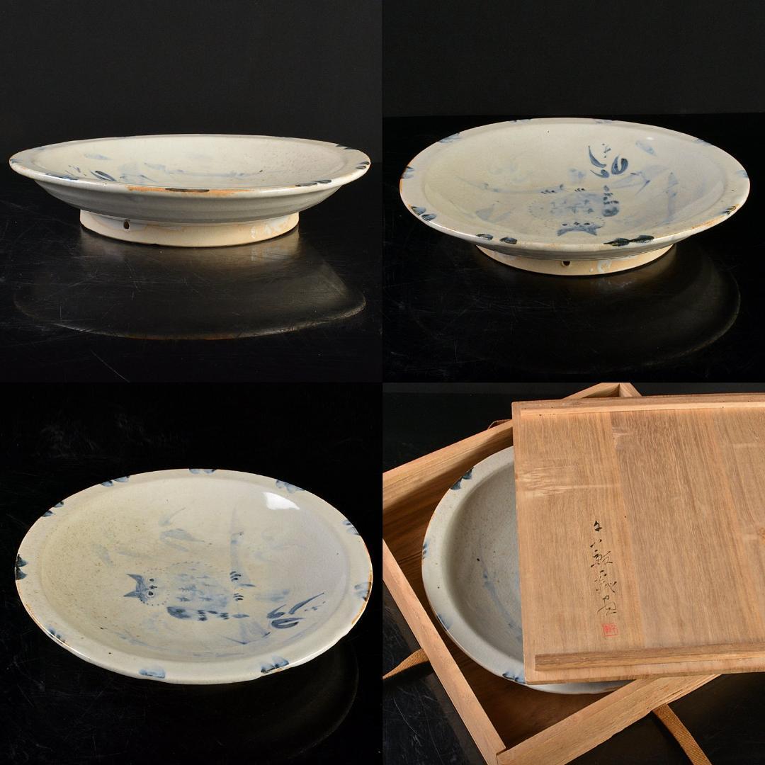 日本画家　郷倉千靱絵付　染付　梟図　飾皿　絵皿　共箱　F　R6056B