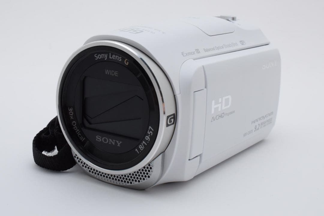 Sony ソニー HDR-CX670 ビデオカメラ ハンディカム