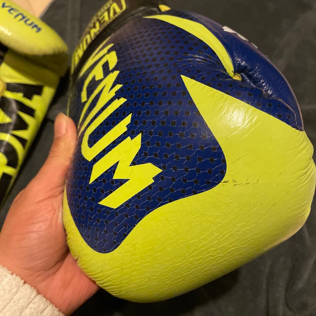 夢見る君へ。ロマチェンコ　ボクシンググローブ　16オンス