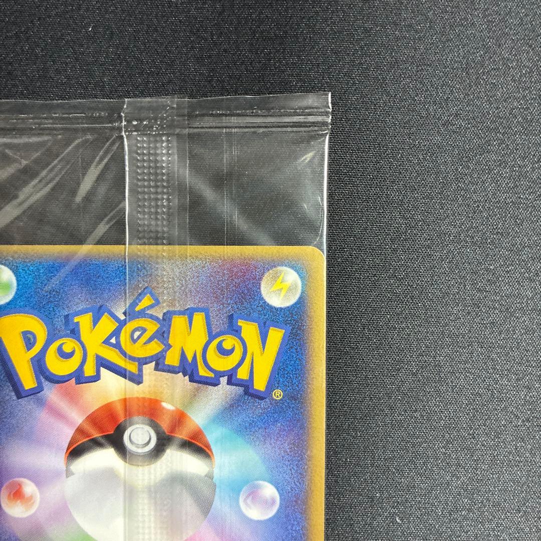 ポケパーク レックウザ プロモ 041/PCG-P ポケモンカード