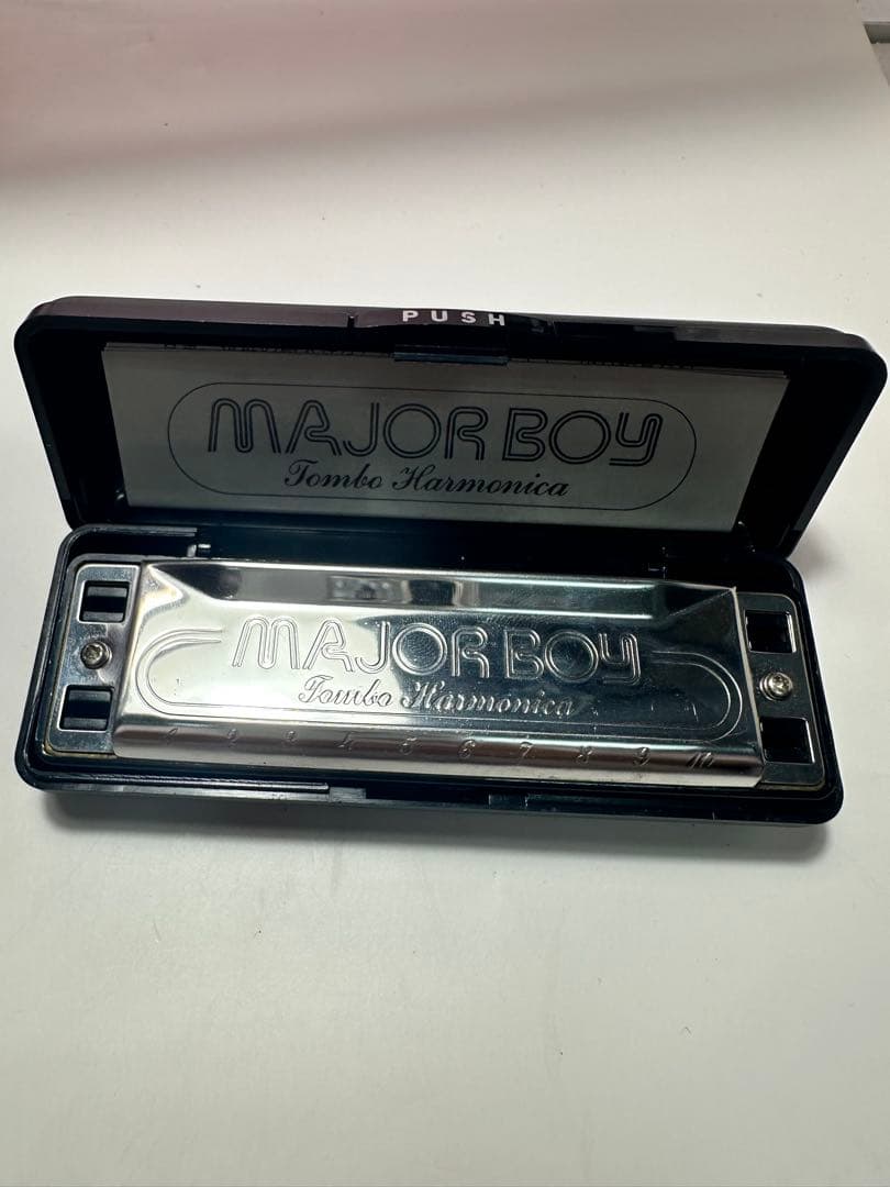 すずめの涙 希少Epiphone Hummingbird Aged