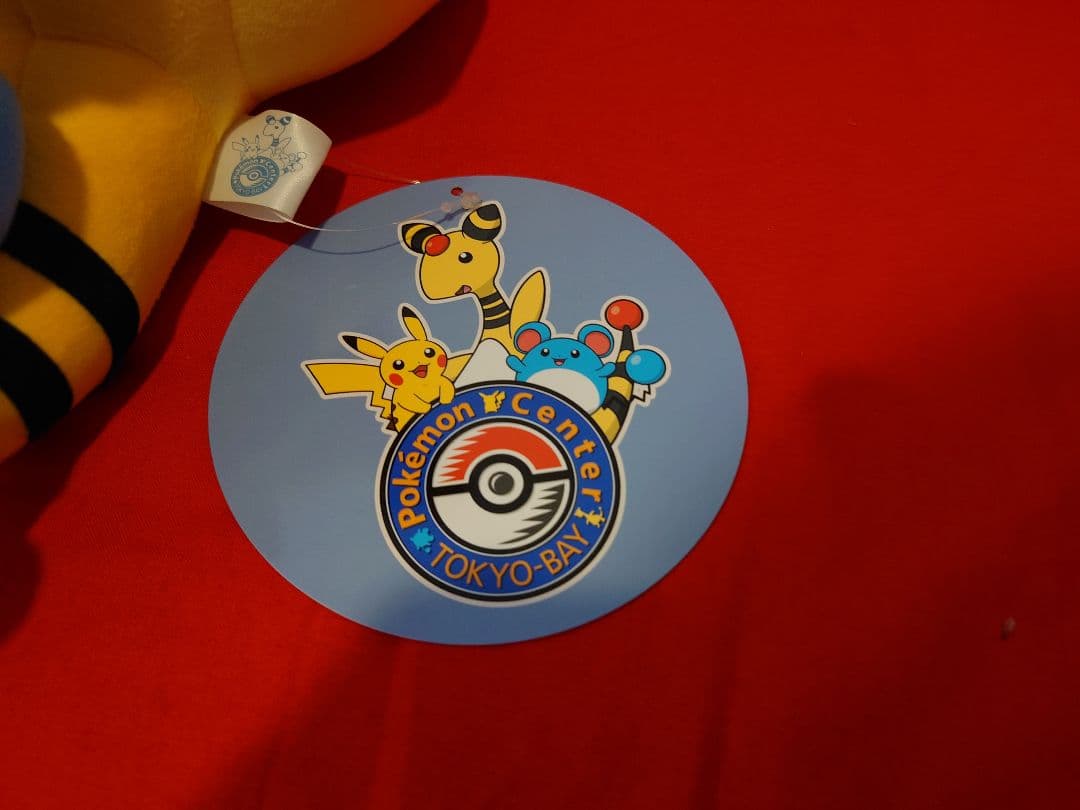 ポケモン トウキョーベイ デンリュウ ピカチュウ