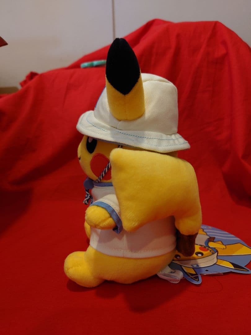 ポケモン トウキョーベイ デンリュウ ピカチュウ