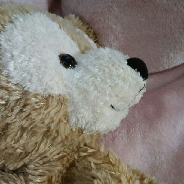 irh. 様　ご確認ページ