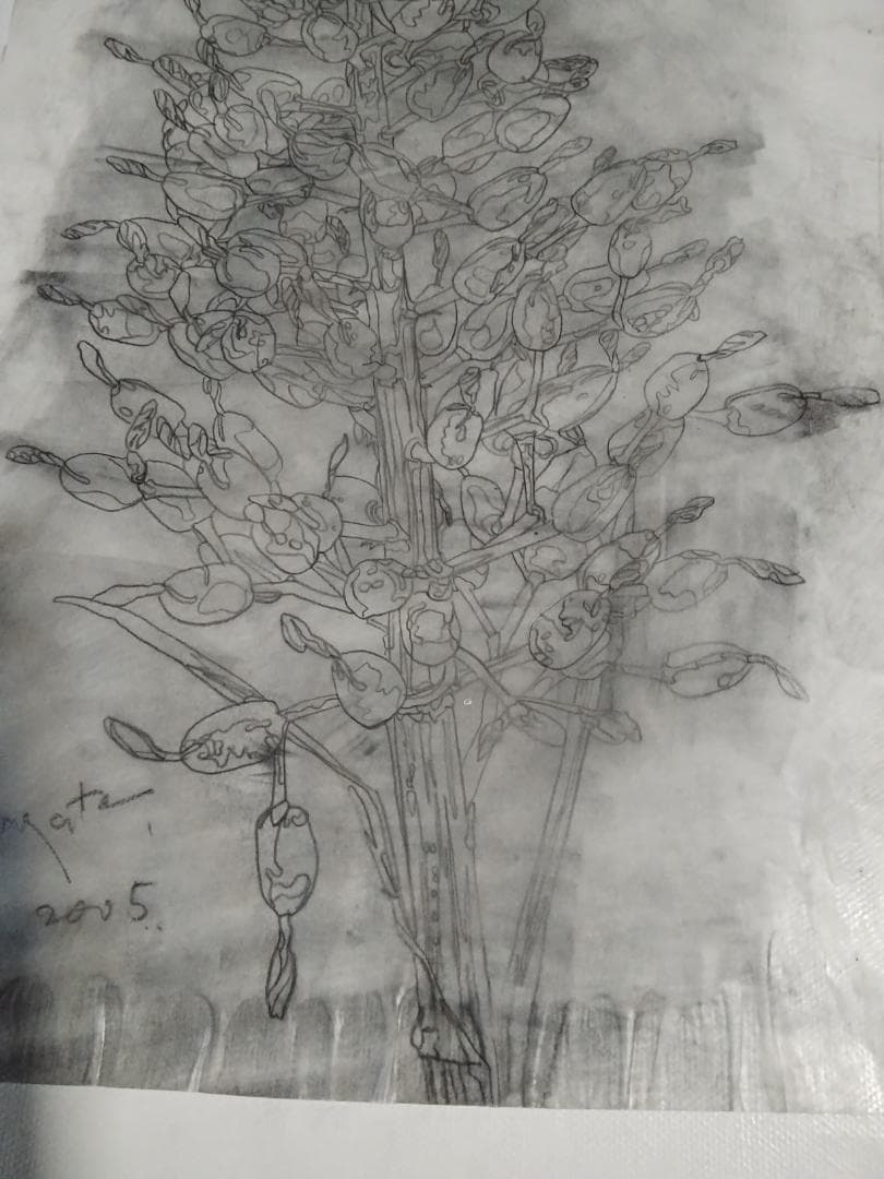 ヒロ・ヤマガタ植物直筆真作鉛筆木炭画ドローイング巨匠証明書あり額無しキャンバス