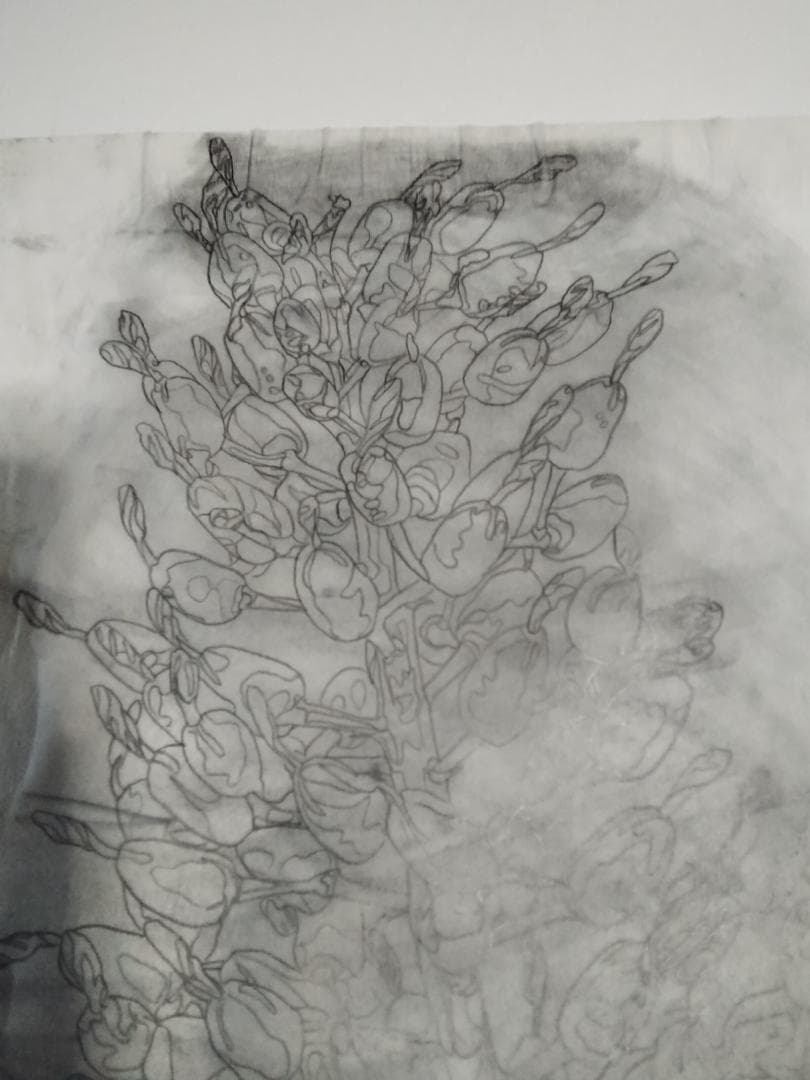 ヒロ・ヤマガタ植物直筆真作鉛筆木炭画ドローイング巨匠証明書あり額無しキャンバス