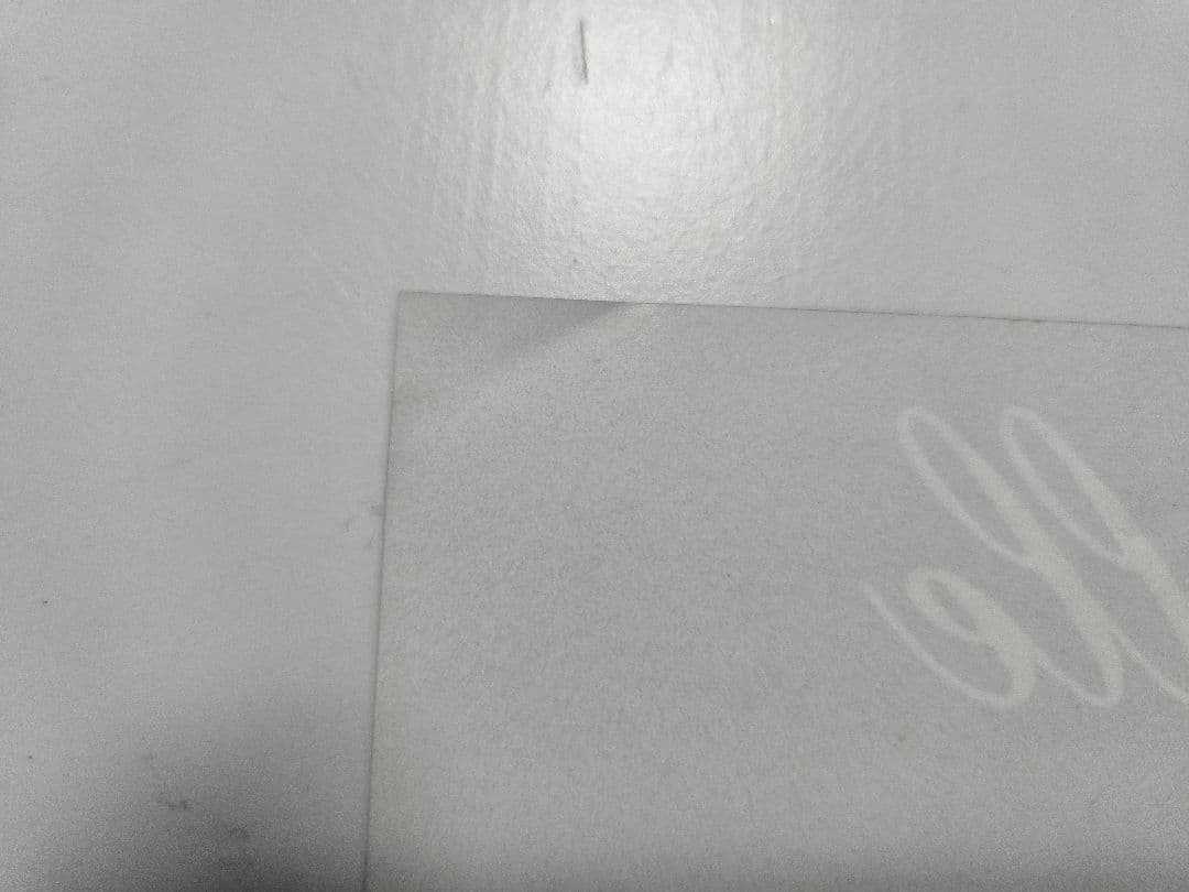 マジェスティックイザベル　Majestic Isabelle フライヤー　チラシ