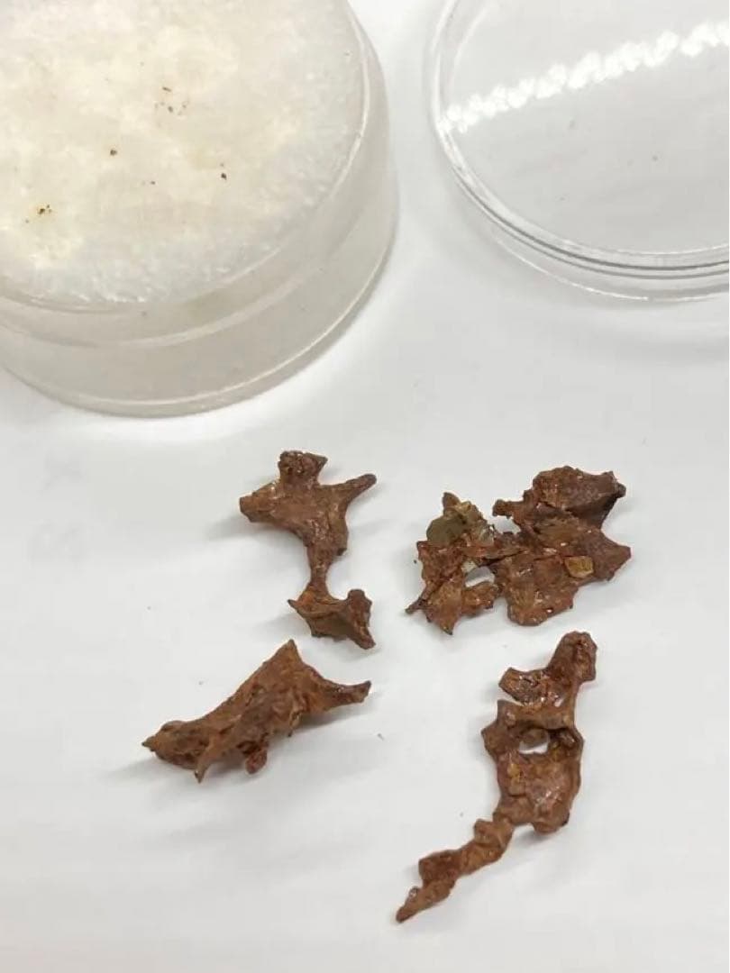 イミラック隕石原石2.81g