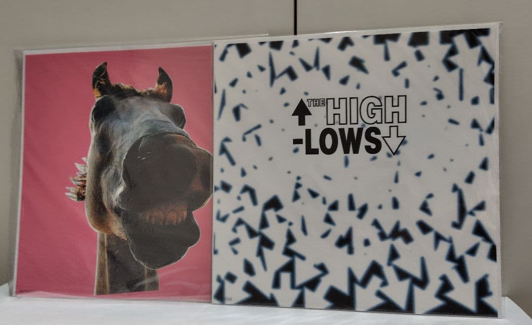 テ*ー様 ザ・ハイロウズ　メガジャケ8枚