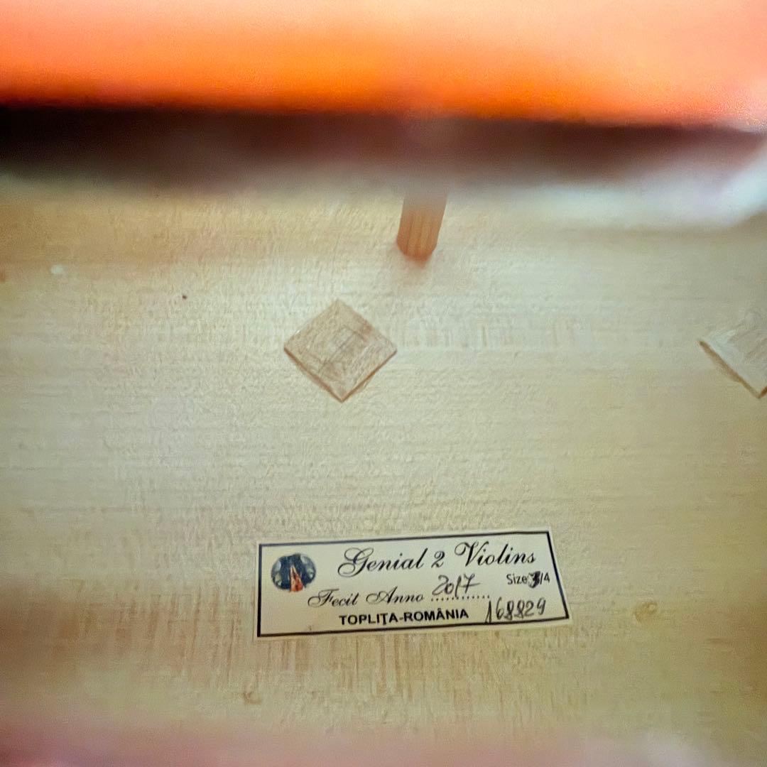 【美品】Gliga Gemial 2 チェロ 3/4 2014年製