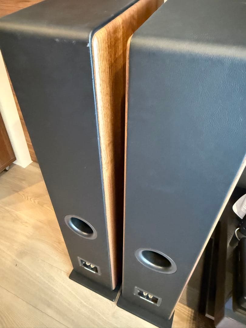 【メルカワ様限定】audiopro AVANTO FS-20（ペア）