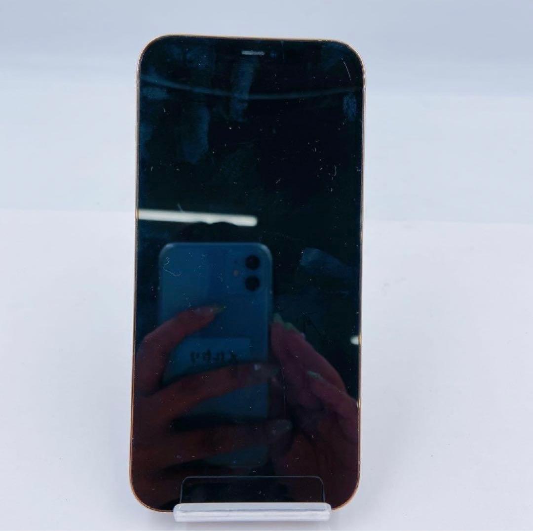 9EM117 Apple アップル iPhone12 ProMAX