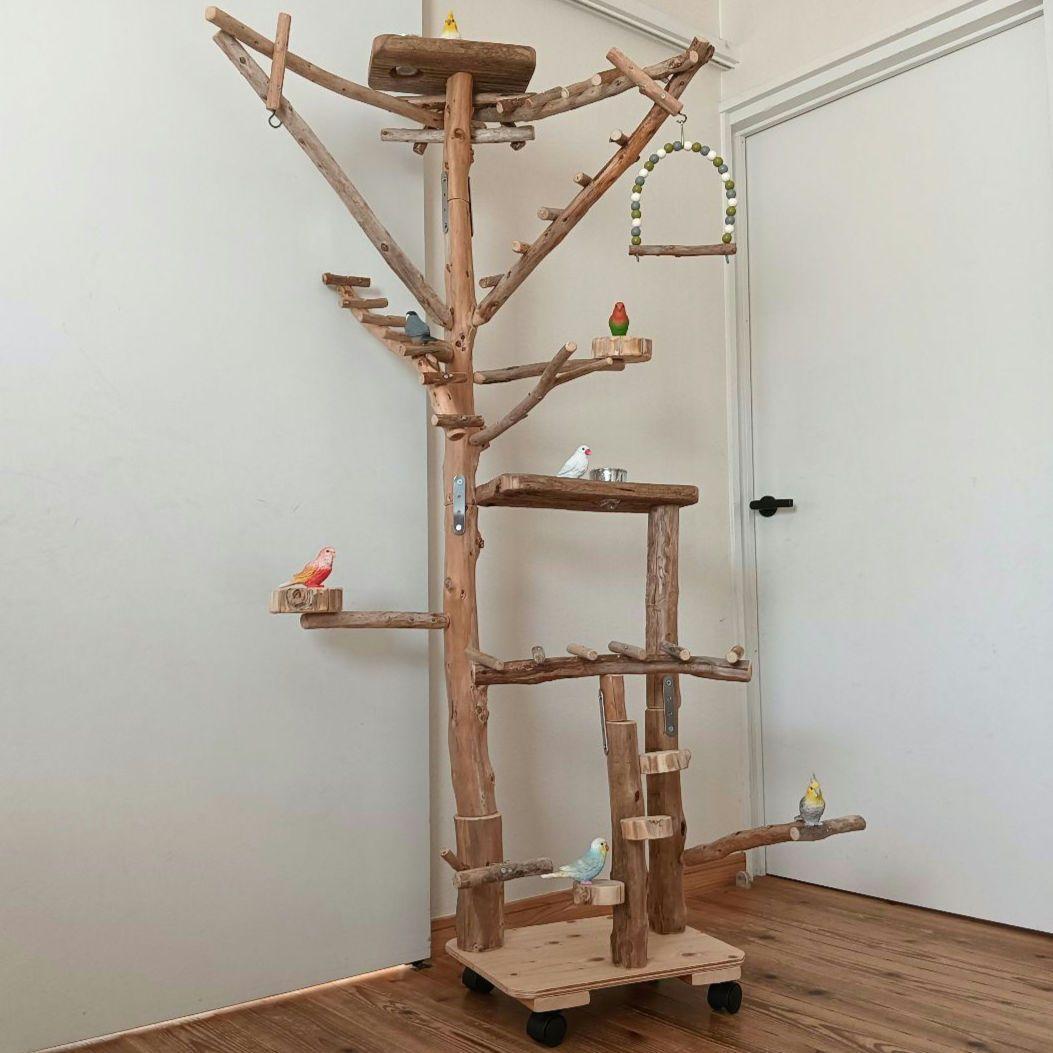 鳥羽 バードアスレチックジム大型 天然木 自然木 流木 インコ おもちゃ