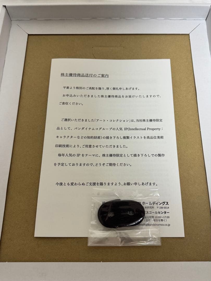 バンダイナムコ 株主優待 アムロ・レイとRX-78-2ガンダム