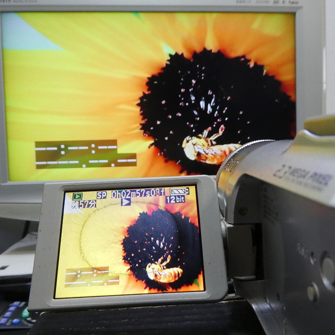 動作良好 パナソニック NV-GS150 MiniDVビデオカメラDVD化に最適