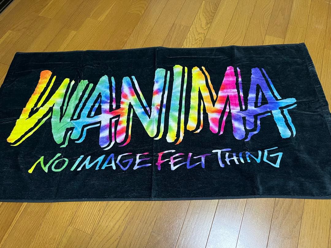 ミュージシャン WANIMA LIVE SET