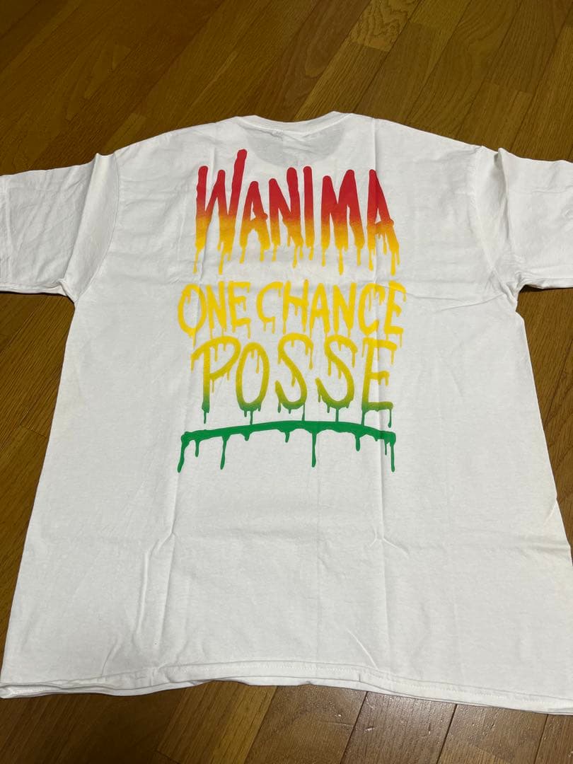 ミュージシャン WANIMA LIVE SET